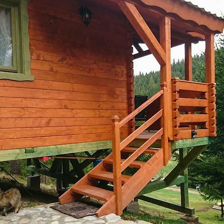 Cabana Casa Craita Zărneşti Eksteriør billede
