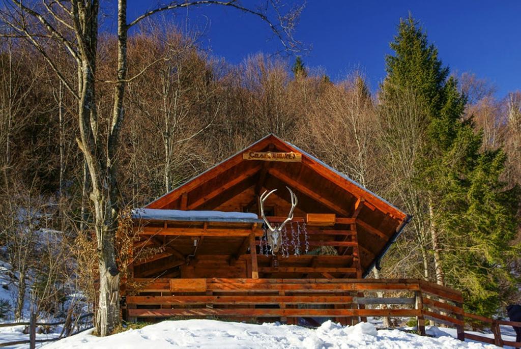 Cabana Casa Craita Zărneşti Værelse billede