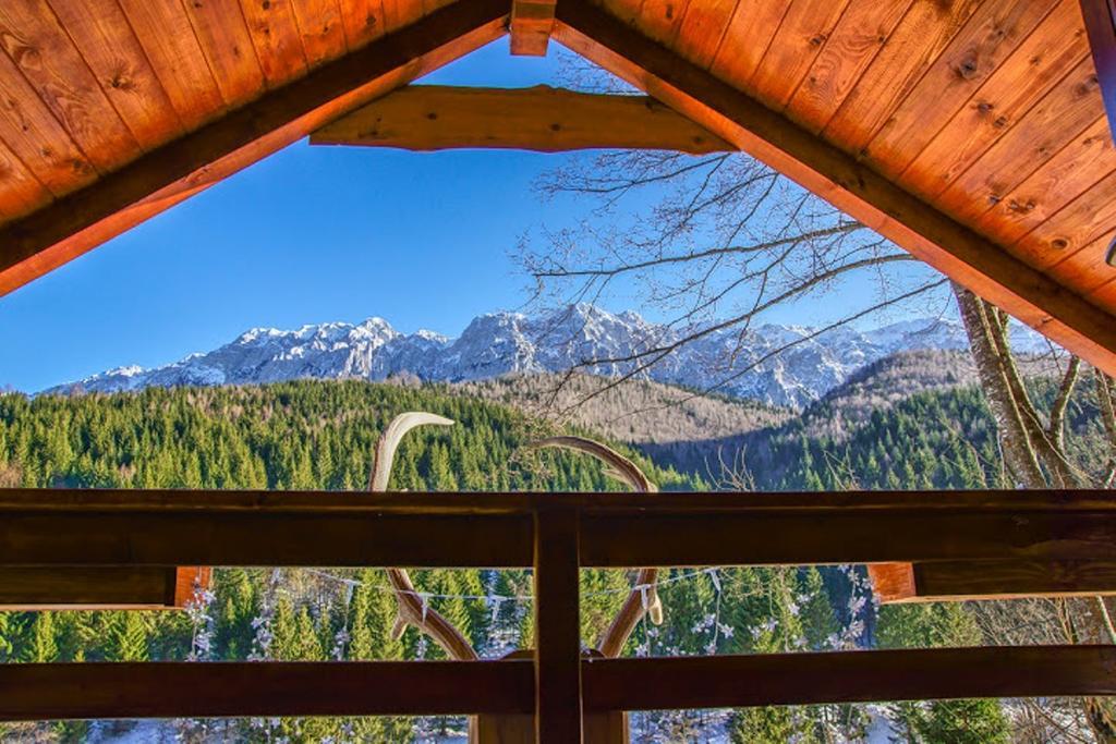 Cabana Casa Craita Zărneşti Værelse billede