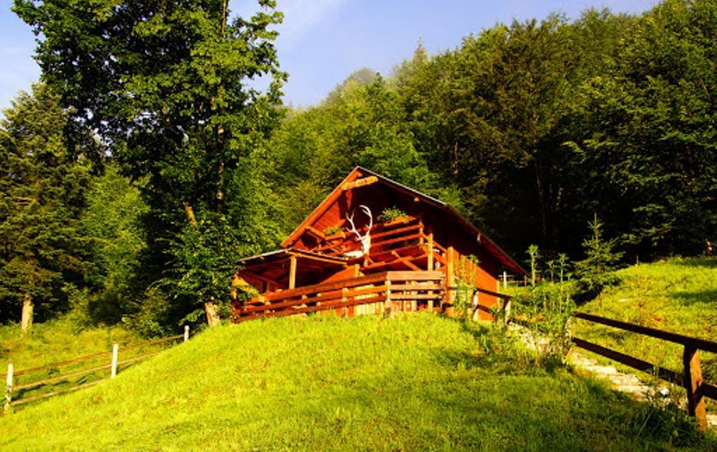 Cabana Casa Craita Zărneşti Værelse billede