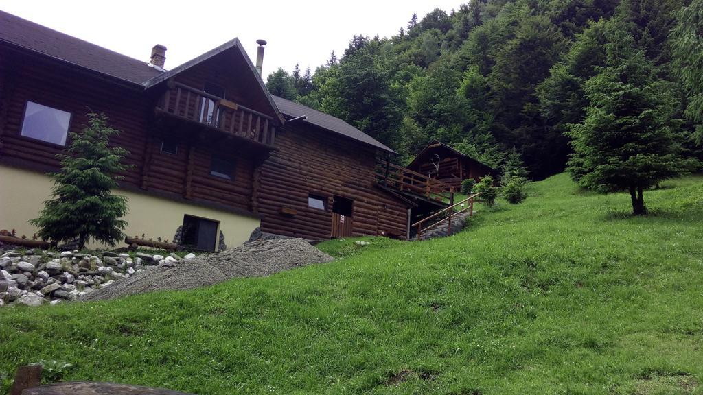 Cabana Casa Craita Zărneşti Eksteriør billede