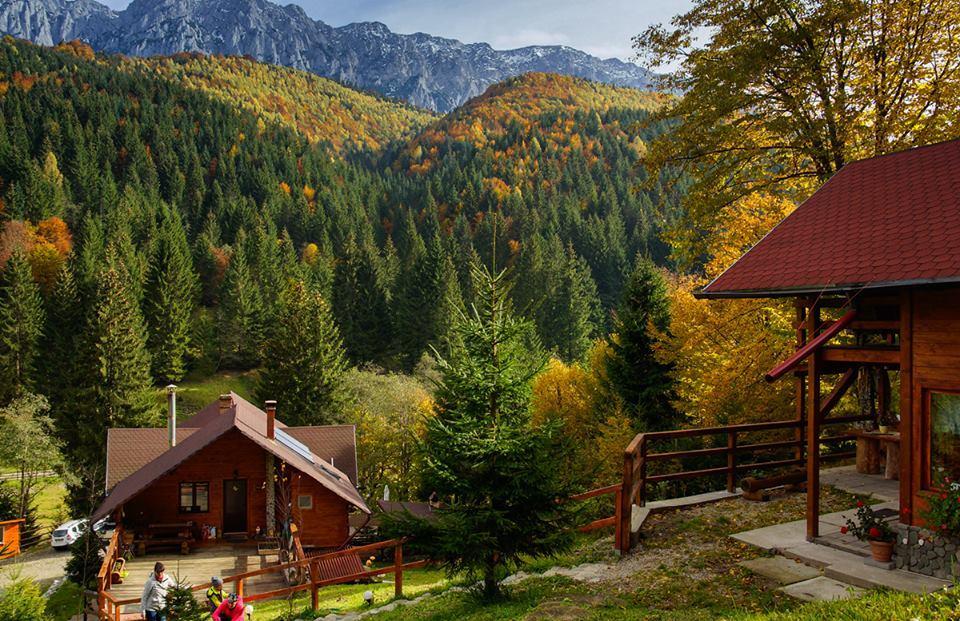 Cabana Casa Craita Zărneşti Eksteriør billede