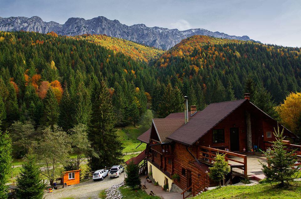 Cabana Casa Craita Zărneşti Eksteriør billede