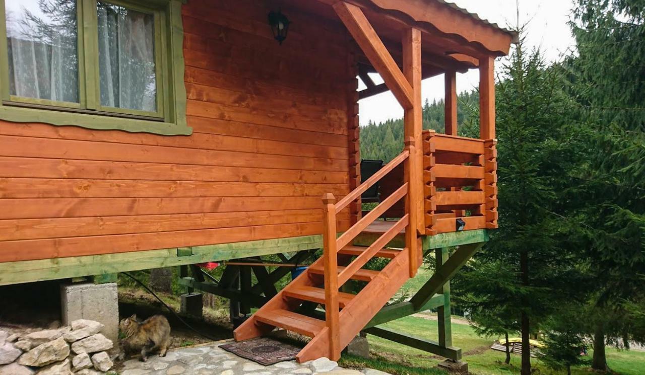 Cabana Casa Craita Zărneşti Eksteriør billede