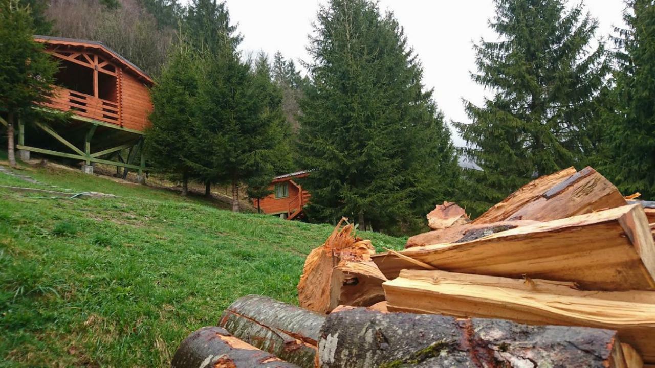 Cabana Casa Craita Zărneşti Eksteriør billede