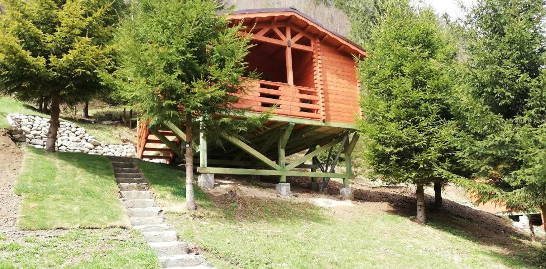 Cabana Casa Craita Zărneşti Eksteriør billede